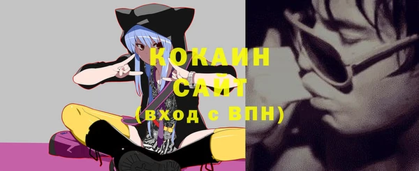 индика Балабаново