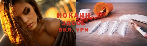 индика Балабаново